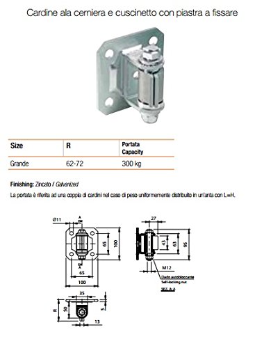 Hinge C/PLATE REGOL.And CUSC. 96 g (021376)