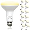 evelor 12 Pack BR30 Flood LED Light Bulbs 65W Equivalent, 7W Energy Efficient, Dimmable 800LM Bulbs 2700K Warm White, E26 Base for Recessed Cans, Indoor Home Kitchen Bedroom, 15,000 Hours, ETL