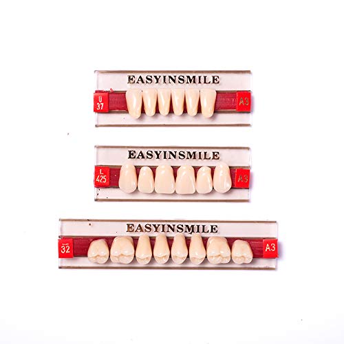 Image of Easyinsmile Dental Synthetic Resin Teeth A2 A3 False Upper Lower Teeth Replacement Dentures for Halloween (A3, Full Set 425+U37+32)