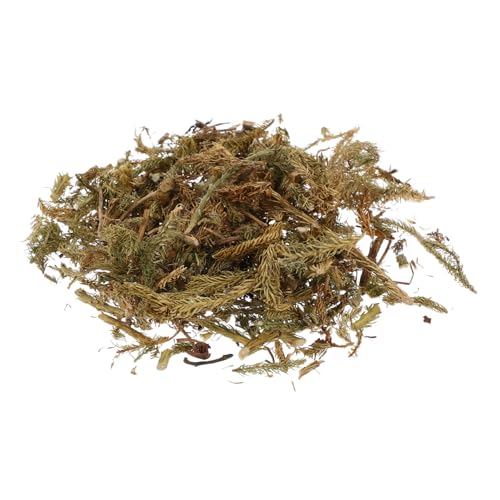 Beatifufu Realistic Desert Kit Shrubs Model Kit for Train Landscape DIY Miniature Artificial Grass Fake Grass for Project Model Landscape Materials