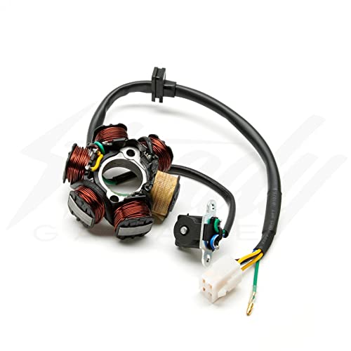 6 pole stator - Zhongshen 190cc Engine