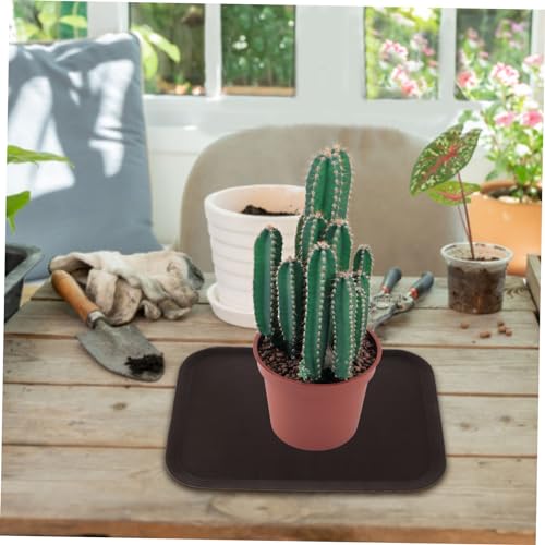Rangement pour objets divers et plateau à chaussures multifonction - 5