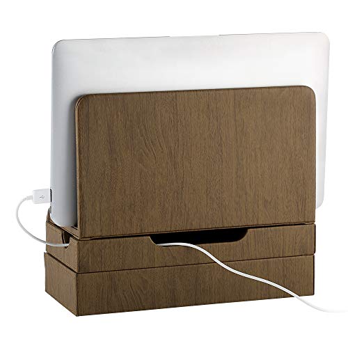 EasyAcc Charging Stations for RAVPower 60W 12A 6-Port Multiple Devices Double-Deck Docking Station Organizer for Anker USB Charger (Without Charger) for iPhone 11 Pro Cell Phones,Tablet,MacBook(Brown)