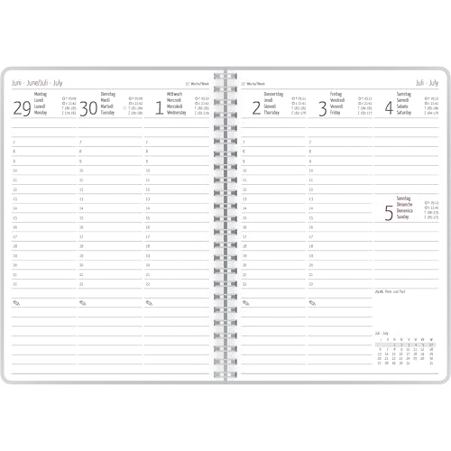 Alpha Edition - Ladytimer Ringbuch Statement 2026 – Taschenkalender A5 (15×21 cm) mit 128 Seiten, Weekly-Planer für Schüler & Studenten, Ringbindung, Monatsübersichten & Notizseiten