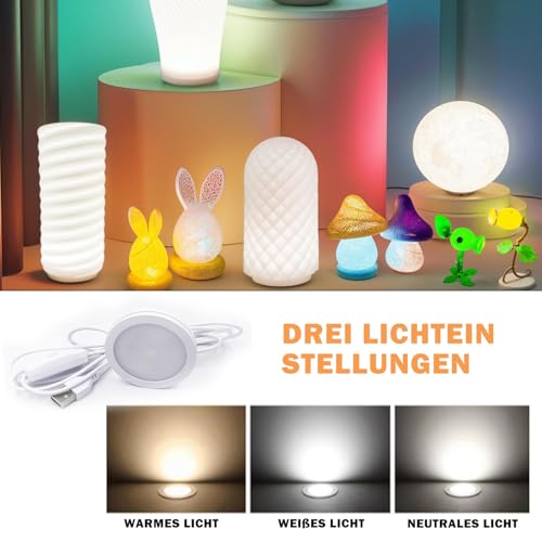 2 Stk. 3D-Drucker LED-Lampen-Kit für Lab A1/A1mini/P1S/P1P/X1C für Crafting Nachtlicht Modelle und Einfache Installation, Mit USB-Adapter, Drei Arten von weißem Licht (Weißer Stil)