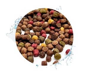 Koi Koifutter 5-Sorten-Mix 15 Liter