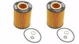 2- Engine Oil Filter Fits BMW 645ci 745i 745Li X5 Madein y