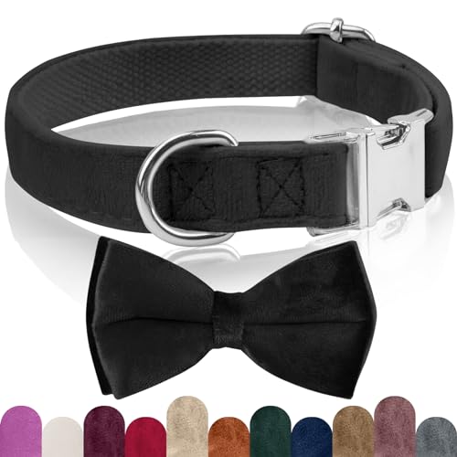 KTWSUEF Hundehalsband Samtiges, mit Abnehmbarer Hunde Fliege, Komfortable Verstellbares Samtige Halsband Hund, Geeignet für Hunde Kleine Mittel große Hunde, Für Hochzeiten, Geburtstage, Partys usw