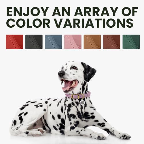 BRONZEDOG Hundehalsband aus gerolltem Leder mit QR-ID-Tag, verstellbar, weiche runde Halsbänder für kleine, mittelgroße und große Hunde, Welpen, Katzen (Smaragdgrün, 35-41 cm)
