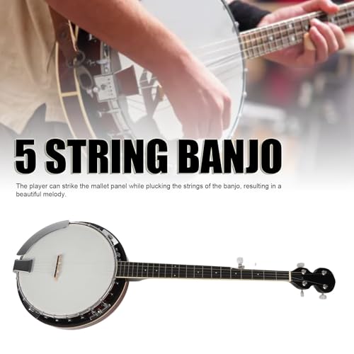 Banjo à 5 cordes durable en sapele de qualité supérieure avec clé d'ajustement