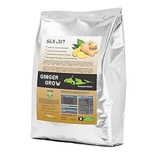 Koifutter Ginger Grow Ingwer Kartoffel Spirulina + Immun für Koi Fisch Futter (Ingwer – Kartoffel – Spirulina, 30kg)