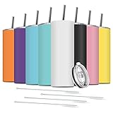 Deitybless 8 Pack Stainless Steel Skinny Tumbler, 20 OZ Double-Insulated Water Tumbler Cup with 8 Straw and 4 Brush, Vacuum Travel Mug Gift for Hot Cold Drinks with Cleaning(Assorted Colors)