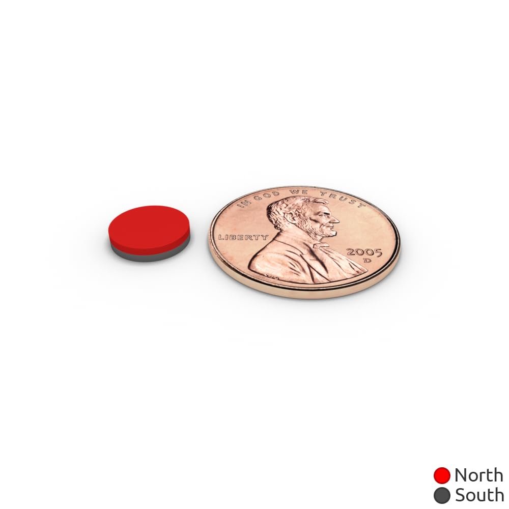 5/16 x 1/16 Inch Neodymium Rare Earth Disc Magnets N52 (100 Pack)