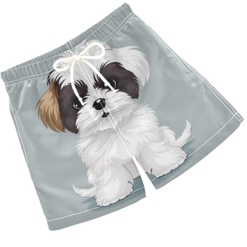 Pigsaly Boys Swim Trunks Cute Shih Tzu Puppy Dog Boys Board Shorts Swimsuit Swimwear Summer Bathing Suit 2T Multicolor