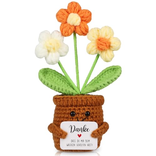 WenmthG Kleines Dankeschön Geschenk Glücksbringer Gehäkelte Mehrfarbig Blume für Frauen Freunde Kollegen Abschied Ruhestand Weihnachts Papa Mama Oma Opa Pocket Hug Positive Kartoffel Deutsch Ersatz