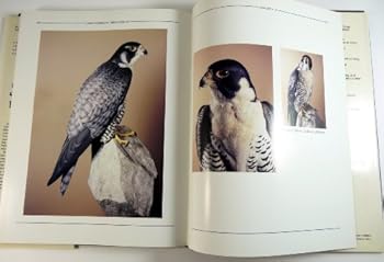 Hardcover John Scheeler: Bird Carver Book