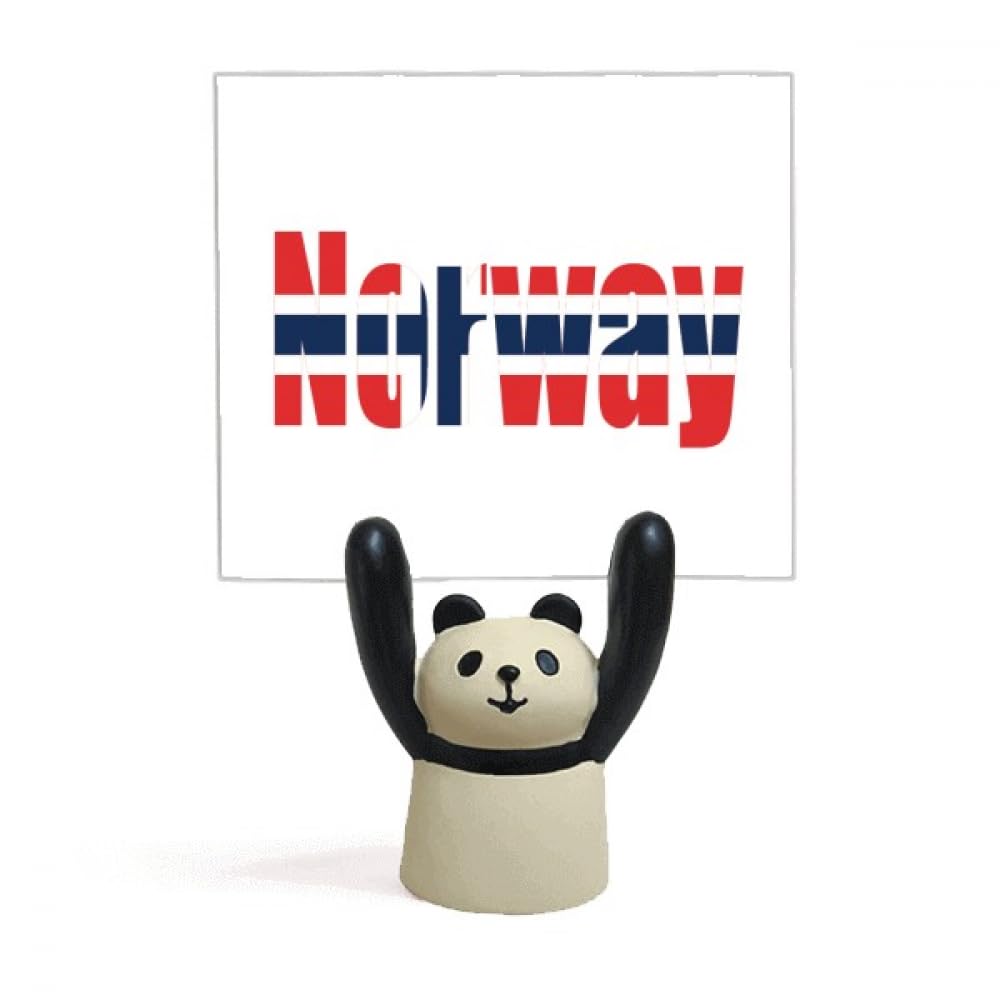 Support de drapeau Norvège robuste contre le vent décoration Art Déco panda - 4