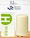 Filter Replacement Cartridge-High Performance, Kangen Water Ionizer HGN Type and FC1 Compatible by A2O WATER, MADE IN USA