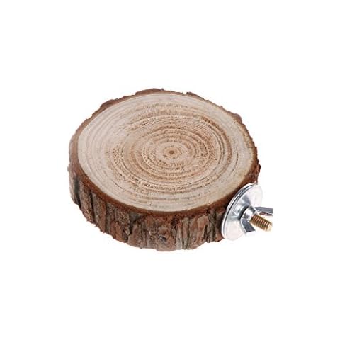 Hukai Pet Parrot Bird Cage Perch Platform Round Wooden Stand Board for Chinchilla Squirrel Birds (M) Cover