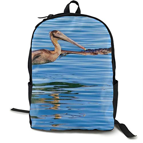California Pelican: Mochila Escolar para niños  Estudiantes  Adultos