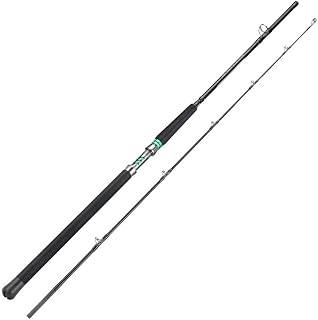 Jian1004 Caña de Pescar Caña de Pescar de curricán de Agua Salada de Alta Potencia con Arrastre máximo de 20 kg para Pesca en Agua Salada y Dulce(218cm)