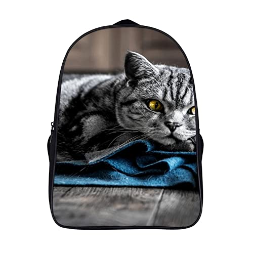Sac à dos d'école chat pour ados idéal pour le collège et les sorties
