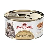 Royal Canin Feline Breed Nutrition Maine Coon Adult Thin Slices in Gravy Cat Food, 3 oz (Pack of 24)