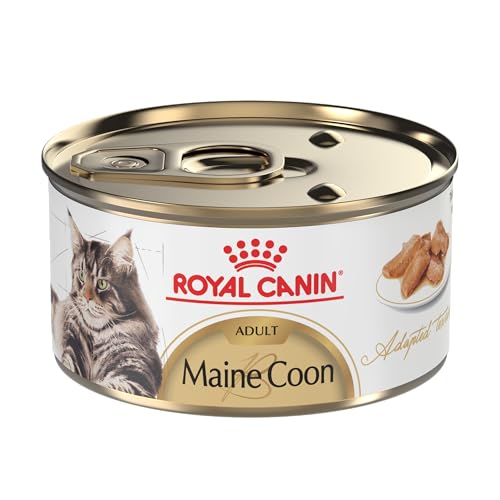 Royal Canin Feline Breed Nutrition Maine Coon Adult Thin Slices in Gravy Cat Food, 3 oz (Pack of 24)