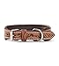 Jack & Russell Exklusives Hundehalsband aus Leder mit geschnitzten Blumenmustern/Ornamenten – Halsband aus Büffelleder – gepolstertes Hunde Lederhalsband Abey (XL (46,0-58,0cm)