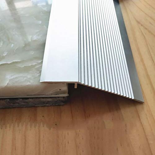 FPIGSHS Profilo di Transizione Striscia per