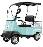 Amazon.com: HAOWEIH Electric Golf Cart, 2 Passenger Powered