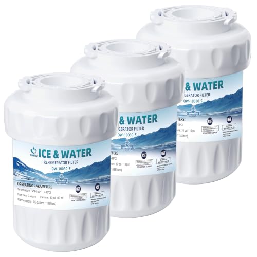 Replacement For GE Water Filter MWF GE Smart-Water Plus Filter Fit MWFP HDX FMG-1 MFW GF-MWF RWF0600A 46-9991 Mwfp3pk MWFA GWF GEMWF Profile Water Filter 3 PACK QWFIZ