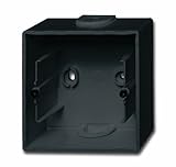 Busch-Jaeger die Zukunft ist da