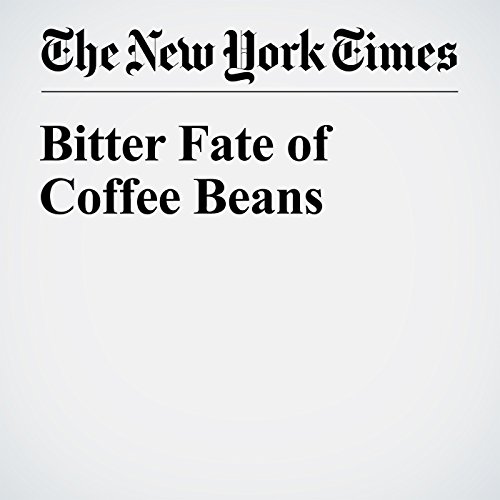 Bitter Fate of Coffee Beans cover art