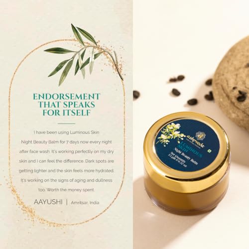 Image of Luminous Skin Night Beauty Cream - Ayurvedic Nighttime Cream for Enhanced Skin Radiance (15gm)