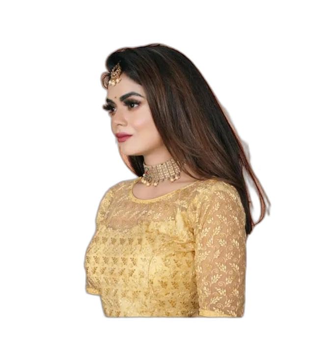 Stylish Net Regular Fit Round Neck Design Blouse for Women|Style - 1129 Women's Blouse for The Size of - Free-Size: 30-34-picture-53