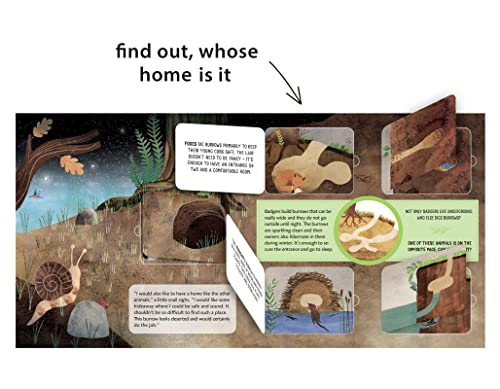 Whose Home Is It?: Landscapes of Intimacy: 2