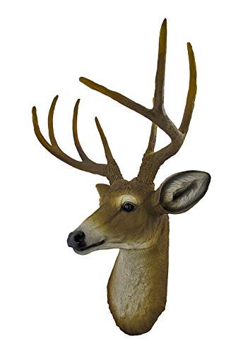 8 Point Buck Deer Head Bust Wall Hanging