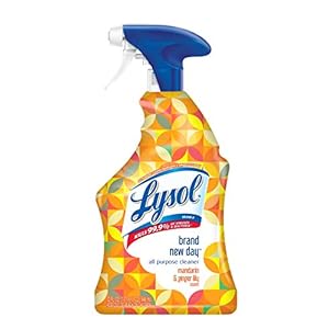 Lysol, All Purpose Cleaner Spray and Brand New Day, Mandarin & Ginger Lily, 32 Fl Oz