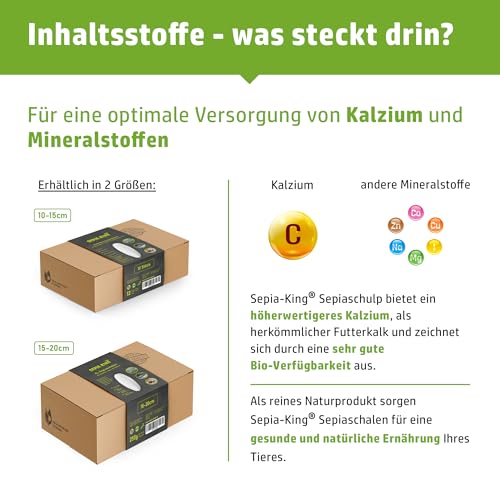 Sepia King ECO Box Sepiaschalen für Schildkröten, Vögel, Reptilien, Bartagame | Premium Sepia Schalen Futter, natürliche Kalzium Quelle, 10-15cm, Terrarium Zubehör