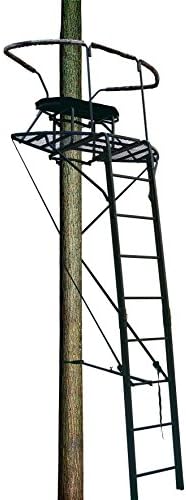 Big Dog BDL-3000 Stadium Series Dual