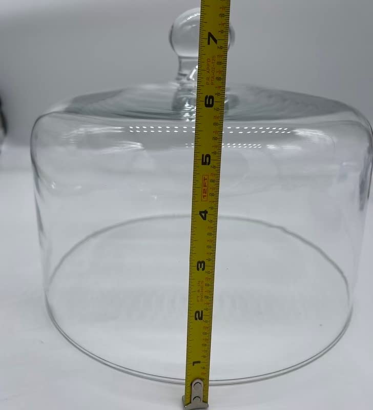 Cake Dome Mosser Glass Usa Fits Cake Stand Desertcart Seychelles