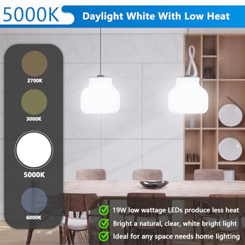 Maylaywood DCZR-A21-1950-4 Led Light Bulbs, 150 Watt Equivalent Led Bulb thumb #2