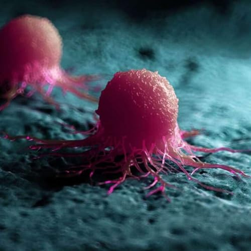 New MYC Protein Targets Cancer, Dinosaur Haolongdongi Reveals Hollow Spikes, Hydrated Cathode Powers Desalination, Maharashtra Expands Innovation Labs, and more...