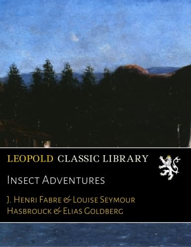 Insect Adventures