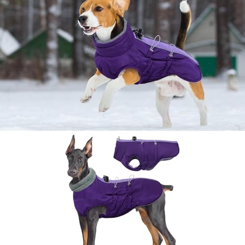 Manteau isolant pour chien protégeant du vent et du froid