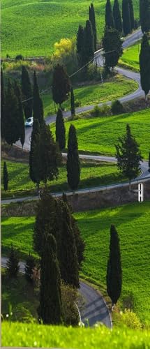 Tizhweqo Pegatina Puerta Paisaje Pegatinas para Puertas Paisaje Adhesivo Vinilo 3D Puerta Pegatina Pared Murales Papel Pintado Poster para Sala de Baño Decorativos 77x200 cm c4087