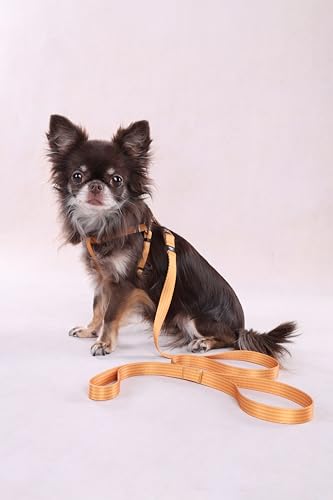 Flamingo Dog Harness Step&Go Noekie Yellow XS 20-35cm 20-35cm 10mm - Image 3