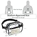Small Clear Fanny Pack Waterproof Belt Bag Chest Pouch with Adjustable Strap Mini Waist Pack for Concerts, Sports, Travel(Black)