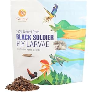 Black Soldier Fly Larvae for Wild Birds and Chickens, 1.5 Pounds, 100% Organic and Natural, High Protein Snack, Promote Health and Egg Production